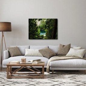 Obraz - Przestrzeń między drzewami (70x50 cm)
