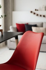 Krzeso podstawowe Synk