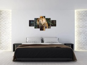 Obraz lwa w naturze (125x70 cm)