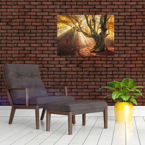 Obraz - Jesienny świt (70x50 cm)