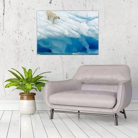 Obraz na szkle - Niedźwiedź polarny (70x50 cm)