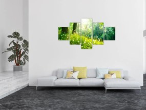 Obraz - Magiczna łąka pełna mniszków lekarskich (125x70 cm)