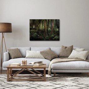 Obraz - Tajemniczy las (70x50 cm)