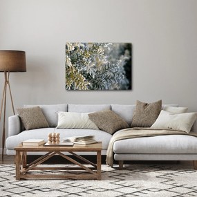 Obraz - Detal gałęzi (70x50 cm)