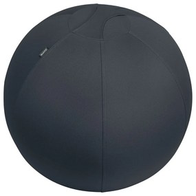 Ergonomiczna piłka do siedzenia z obciążnikami ø 65 cm Ergo – Leitz