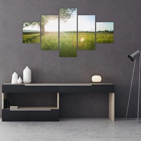 Obraz letniej łąki (125x70 cm)