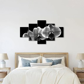 Obraz kwiatu orchidei (125x70 cm)