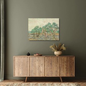 Obraz na szkle - Vincent van Gogh, The Olive Orchard, reprodukcje (70x50 cm)