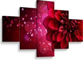 Obraz czerwonego kwiatu (125x70 cm)