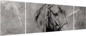 Obraz - Portret konia (170x50 cm)