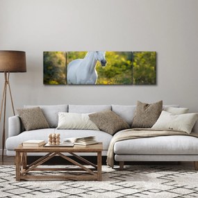 Obraz białego konia na łące (170x50 cm)