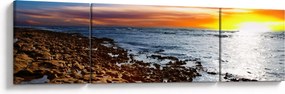 Obraz - Mewa lecąca nad wybrzeżem (170x50 cm)