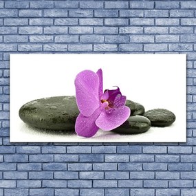 Obraz canvas Królewska Orchidea w Detalu