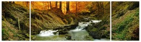 Obraz - Las (170x50 cm)