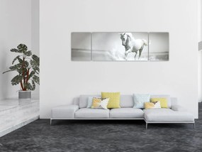 Obraz - Biały koń (170x50 cm)