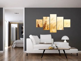 Obraz - szczegóły ziarna (125x70 cm)