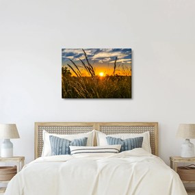 Obraz pola o zachodzie słońca (70x50 cm)
