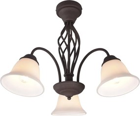 Ciemnobrązowa lampa sufitowa ze szklanym kloszem Rustica – Trio