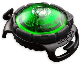 Lampka LED na obrożę Green – Orbiloc