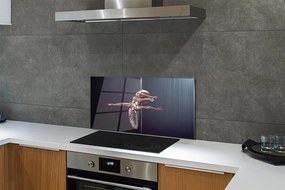 Panel nad Blat Kuchenny Profesjonalny Taniec na Rurze