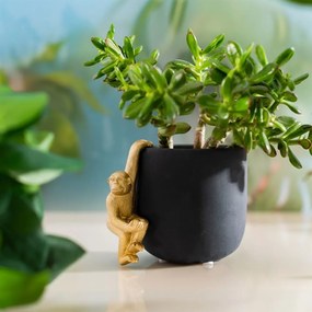 Mała dekoracja z żywicy polimerowej Monkey – Sass &amp; Belle