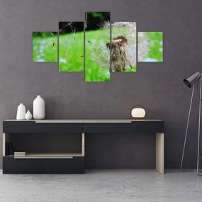 Obraz dmuchawca (125x70 cm)