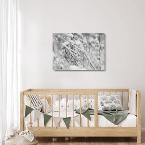 Obraz na szkle - Ośnieżone gałęzie (70x50 cm)