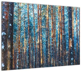 Obraz na szkle - Zimowy las (70x50 cm)
