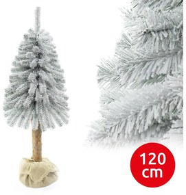 Choinka bożonarodzeniowa na pniu NATURAL WITH SNOW 120 cm jodła