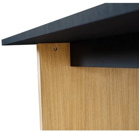 Stół z blatem w dekorze dębu 90x160 cm Stripe – Woodman