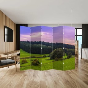 Parawan - Łąka (210x170 cm)