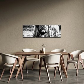 Obraz - Highland - szkocka krowa (z zegarem) (90x30 cm)