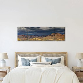 Obraz - kaktusy w przyrodzie (170x50 cm)