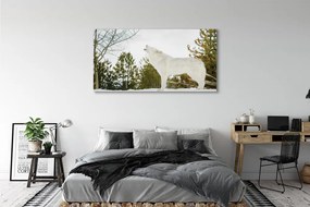 Obraz drukowany na płótnie Wilk w Zimowym Lesie