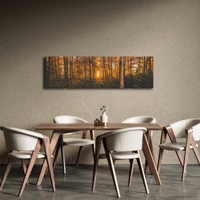 Obraz jesiennego lasu (170x50 cm)