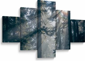 Obraz drzew, przez które prześwieca słońce (125x70 cm)