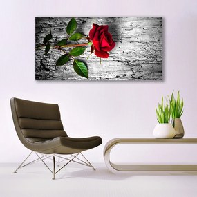 Obraz Canvas Róża Kwiat Roślina Natura