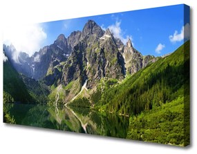 Obraz Canvas Tatry Góry Morskie Oko Las