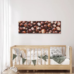 Obraz - Dojrzałe kasztany (170x50 cm)