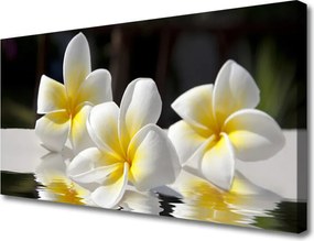 Zdjęcie na płótnie Harmonijny Bukiet Polny