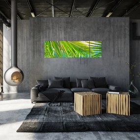 Obraz - Liście palmowe (170x50 cm)