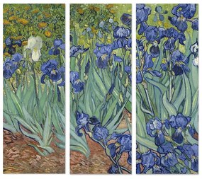 Obrazy zestaw 3 szt. 20x50 cm Vincent van Gogh – Wallity