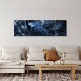 Obraz - Gawron (170x50 cm)