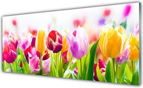 Szkło nad Blatem Tulipany W Porannym Słońcu