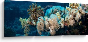 Obraz - W oceanie (z zegarem) (90x30 cm)