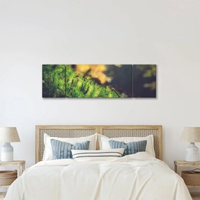 Obraz mchu z grzybem (170x50 cm)