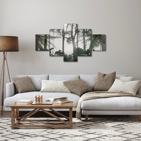 Obraz - dżungla w porannej mgle (125x70 cm)