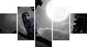 Obraz - Nocna sowa, fioletowa sowa (125x70 cm)