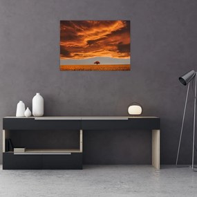 Obraz chmur (70x50 cm)