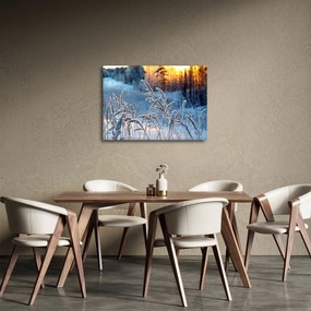 Obraz - Zimowa łąka (70x50 cm)
